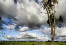 阿拉维斯主场折损，西甲降级危机难解难解