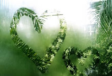 浙江队客场大胜，领跑东部赛区，冲击总冠军